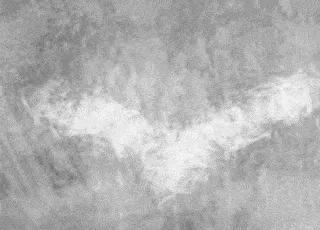 Item #83641782425350930645442208864969596215926153259876796825488648337181328277505 Media