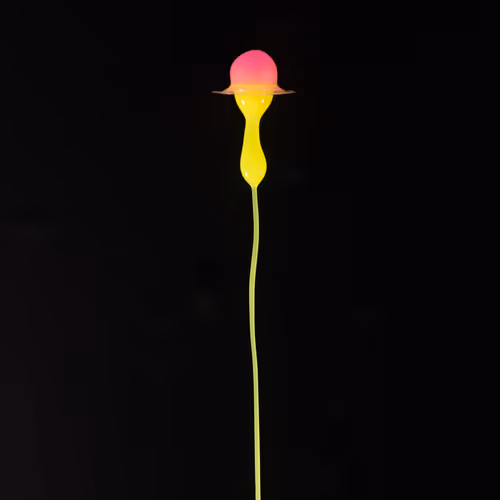 Item #93843816189578981246560604655943518308185846623120940061859981518918731694081 Media