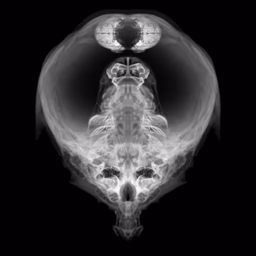 Item #85859191866638808365331437874953228966785819470149775310971061761782505799681 Media