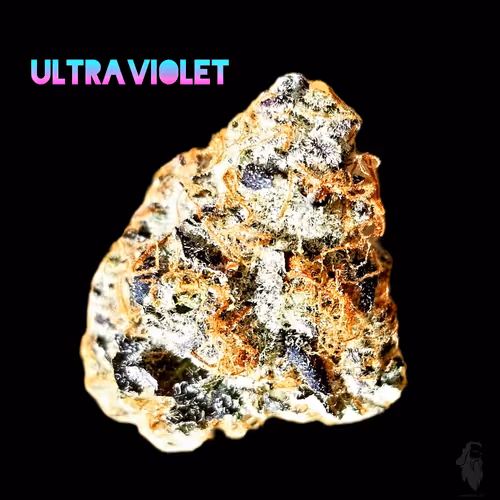 Item #87689570283297516471900235800511228078692535605346005540316604155417916866561 Media