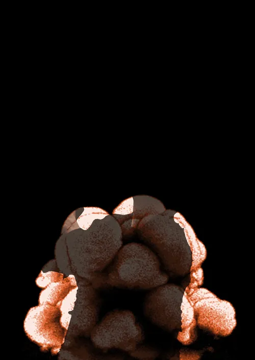 Item #43625546373441555197744725399784168428543911619625481615204060277839327395841 Media