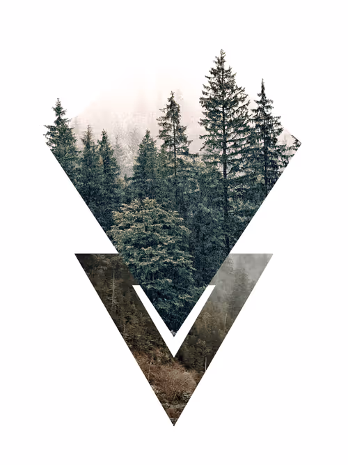 Item #71915929699226150918407587893142071230539097341123408966744703433171754024961 Media