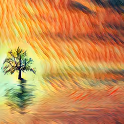 Sunrise #49