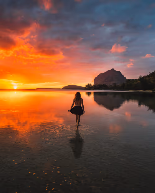 Item #64892573542216553225063327700336004171019867697641980949815581366808981012481 Media