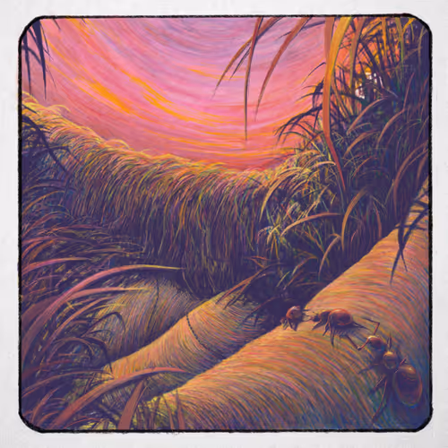 Item #36677197278733282434979004618714467068375419752773231098231422648859186167809 Media