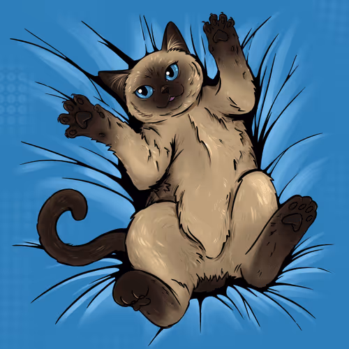 Something special about one cat