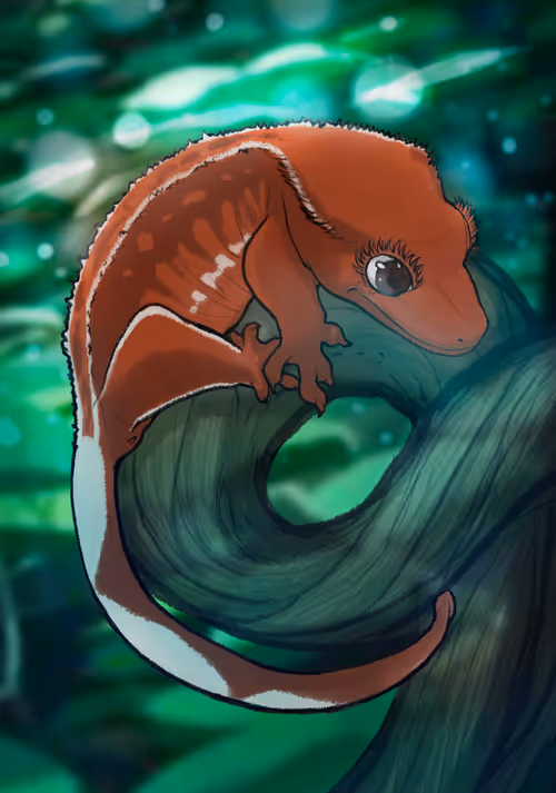 Item #23546686719633506406095790157609111049750244779414073605876924797740786909185 Media