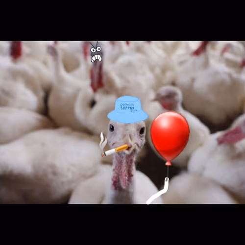 95244940339513320199862715608852117206742312941825269634371129052995413606401
