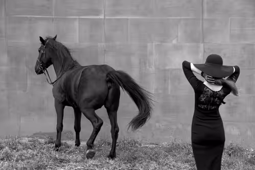 Item #74661804639461098708131462223609063755981185112722833040679211588982759489537 Media