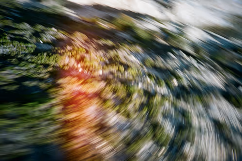 Item #38495668349306452240688866721683925223246116077147746545727998329358234157156 Media