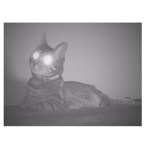 Laser Cat