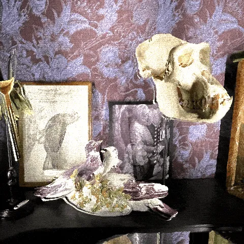 Item #13381552457891204755844646832314136294320918458672548337252499940433924718593 Media