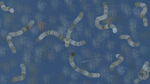 Item #102747860771236398929577105643336122107089824246247135074030275357649573773313 Media