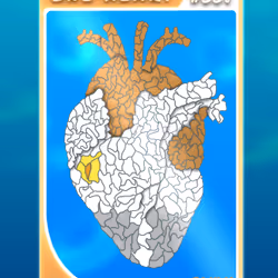 90475678972029395359707263313456981686565599755556252855853744684681045999617