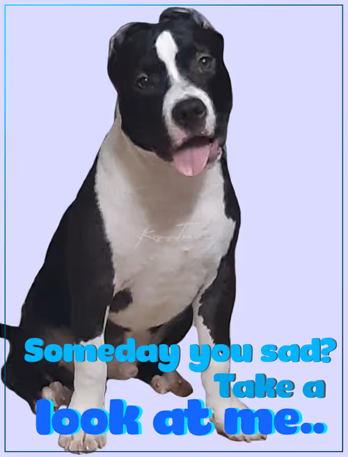 Item #103606411814514267144441239329390381368364317226309774540220525464661027454977 Media