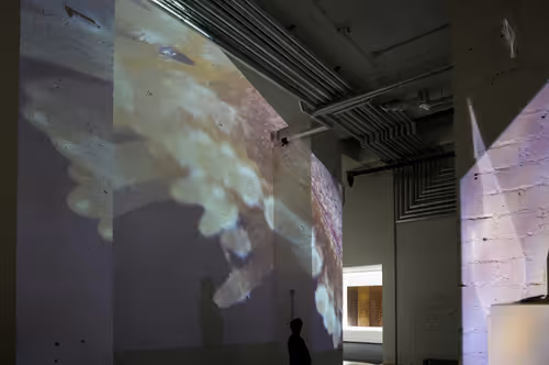 Item #26658692853047594662684063584859351739740990353533291936945253095489935507457 Media