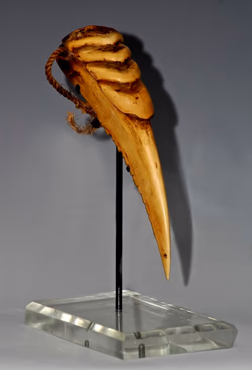 Item #13054743461556892059086844820140622319047360899879579049167545285456068345857 Media