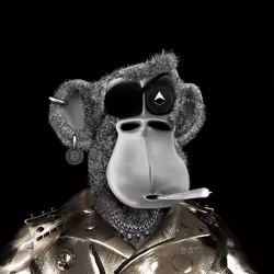 Debonair Ape 410