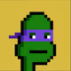 Ninja Turtle Punks