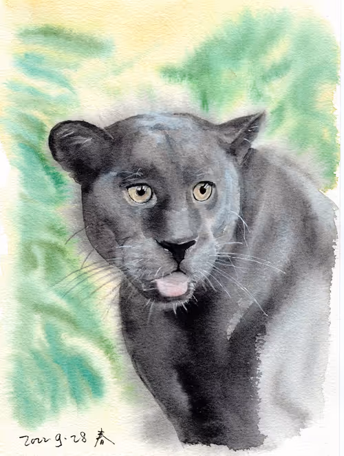 Item #106946685177321422894597018356236354695280459697270820236302694158578621612033 Media