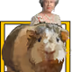 11956811942635422927171460162610099694714344402587762652016437326286809989121