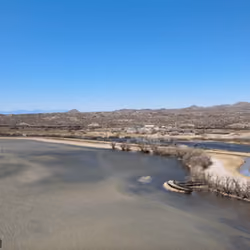 Bosque Del Apache, NM _ 1
