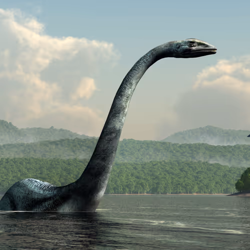 15201862250514145958676777466825728141953005429687029988591517152460681510913