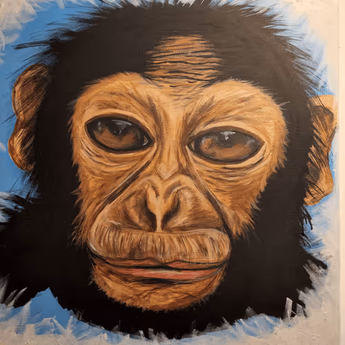 Untitled Collection #23101690