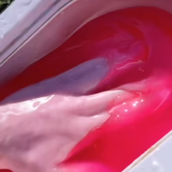 pink wax chop