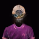 53385941456676190110838339911728309048210199864448931637696851024136393195521