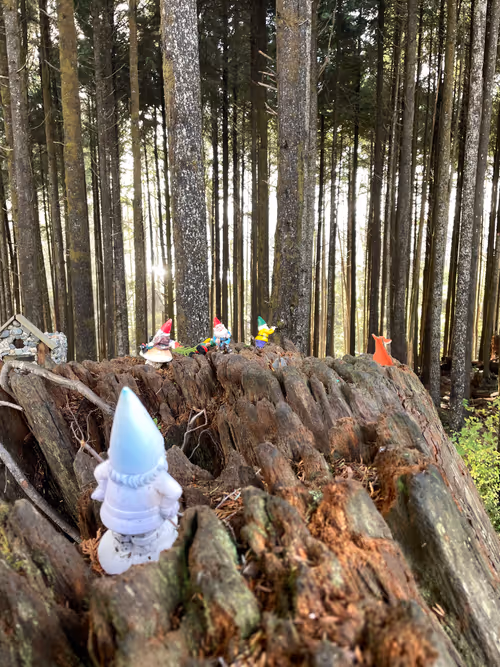 Item #48620836369921933640426566263730175611774601901304682799298184981963599773697 Media