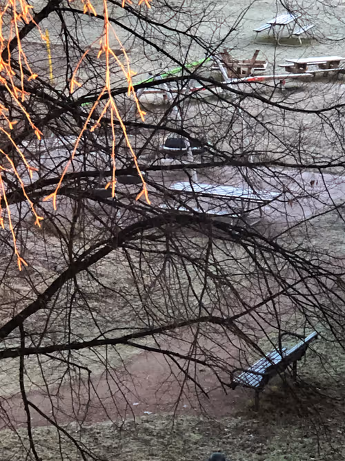 Item #93053345954396449184125693441989771853950921288224263024317593463803911077889 Media