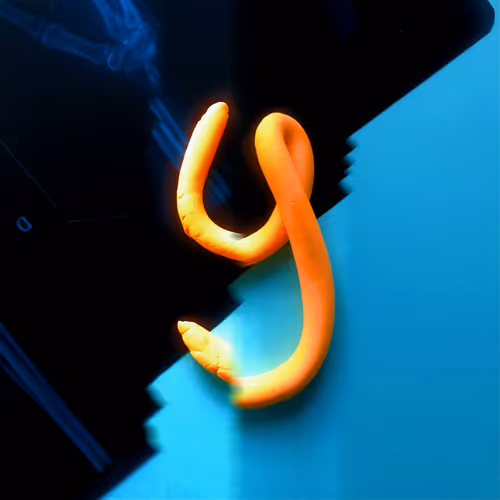 Item #42502377884493822439484110895335049498054174976923948741203377842756507402241 Media