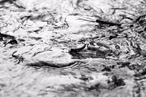 Item #20191380315558166241020242438657395646005713475192427787960701960283360329733 Media