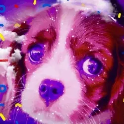 CyberDOGGO#1 