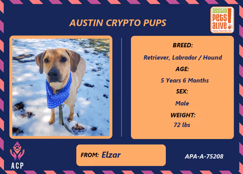 Item #17951378556605612276483806045649535824451571419947225201384628533741733543937 Media