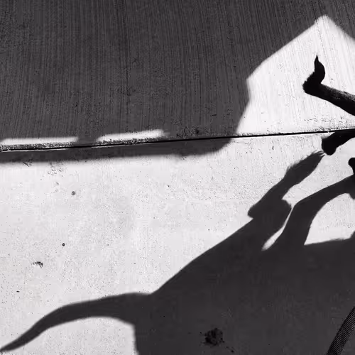 Item #56431751608181922231259635946092067407977788553703326303680802293158548340737 Media