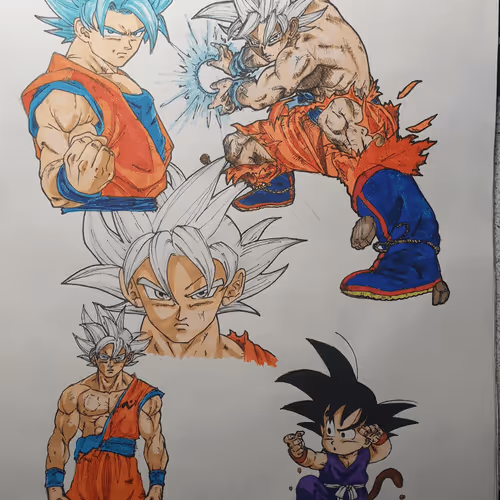 RENAGADE Collection