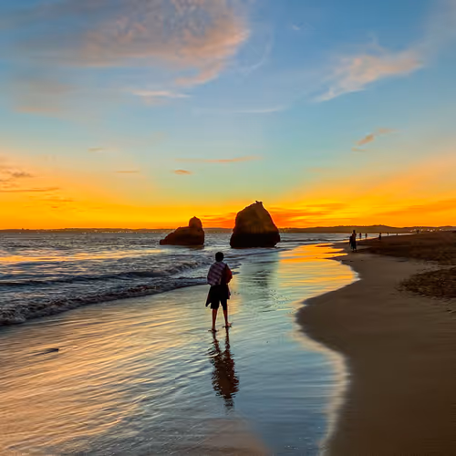 Into The Beach