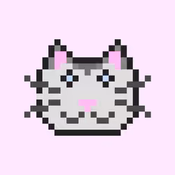 Stray JuanCat