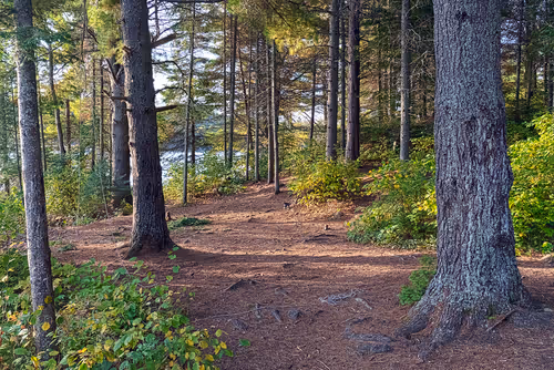 Item #78614967916850878758896281278088562819031429561597845143063368048687223668737 Media