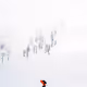 32475303187480305983093358822383641474127011368001313971120916780927210749953
