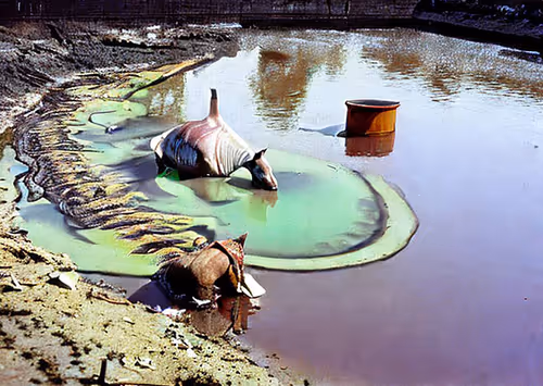 Item #73301704533666751335196021622514792145035649100750988773961168455125776203777 Media