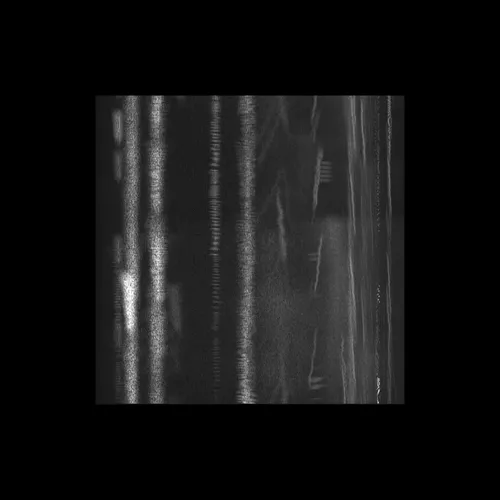 Item #43939955971694368961434358164711021081057237677410347264159755027949289472001 Media