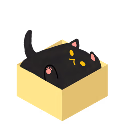 BoxCat #4