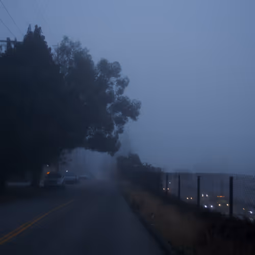 Tangiblestillness