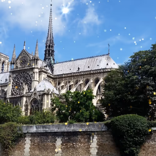 puleo Collection - old