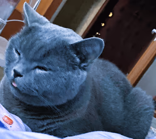 Alisher1107 Collection