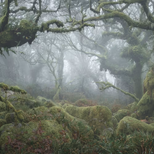 MYSTICAL XLVIII (RETURN) 
