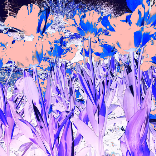 Item #12729754568501072855489201789855253348138096552071129580041228570674799312902 Media